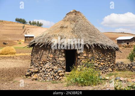 Afrikanische Rundhütte, traditionelles Wohnhaus auf dem Land; Äthiopien Stockfoto