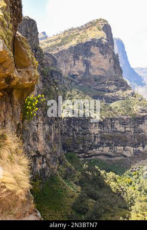 Berggipfel und felsige Klippen bedeckt mit Bäumen und Pflanzen im Simien Mountains-Nationalpark im Norden Äthiopiens Stockfoto