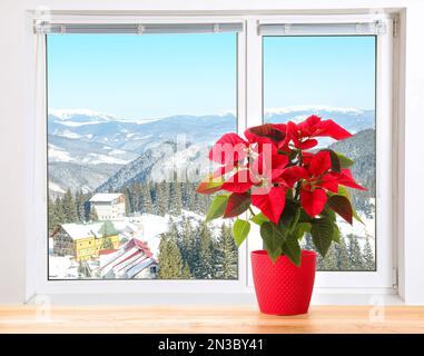 Weihnachten traditionelle Poinsettienblume im Topf auf dem Tisch in der Nähe des Fensters. Platz für Text Stockfoto