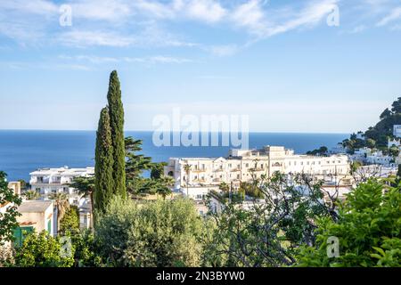 Blick durch die Bäume auf einer Klippe mit Blick auf das Grand Hotel Quisisana und die weiß getünchten Dächer von Capri; Neapel, Capri, Italien Stockfoto