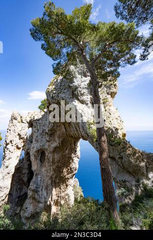 Blick durch den Arco Naturale, einen Kalksteinbogen aus der paläolithischen Ära, Überreste einer eingestürzten Grotte, 18 m hoch, 12 m breit, an der Ostküste des I... Stockfoto