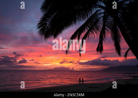 Silhouette von Palmen und zwei Personen, die den Sonnenuntergang am Keawakapu Beach beobachten; Wailea, Maui, Hawaii, Vereinigte Staaten von Amerika Stockfoto