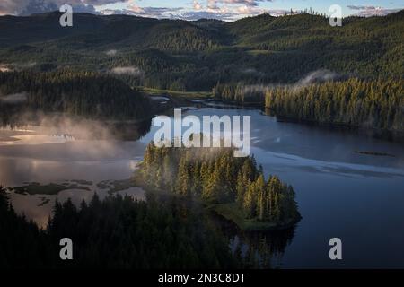 Nebel zieht über eine abgelegene Mündung und den Thorne River auf Prince of Wales Island im Südosten Alaskas; Alaska, USA Stockfoto