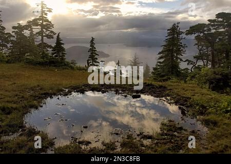 Sonnenlicht reflektiert die Wolken in einem Teich an einem Berghang über Sitka Sound und Baranof Island im Tongass National Forest, dem größten... Stockfoto