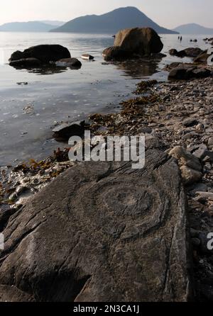 Petroglyph Beach ist eine State Historic Site mit einer Sammlung von Petroglyphen, die von den Ureinwohnern der Tlingit in Alaska gemeißelt wurden. Bei Ebbe zeigt der Ort eine Serie... Stockfoto