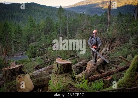 Porträt von Cody, einem holzfaller, arbeitet allein in den Wäldern von Winter Harbor auf Prince of Wales Island. Es ist gefährliche Arbeit, und Faller hören auf... Stockfoto