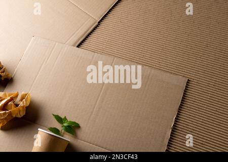 Nahaufnahme von Papierstücken und Bechern mit Pflanze auf Papphintergrund mit Kopierbereich Stockfoto