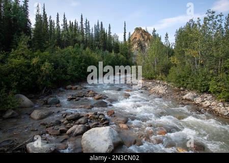 Blick flussaufwärts von der Hines Creek Bridge auf dem Triple Lakes Trail Stockfoto