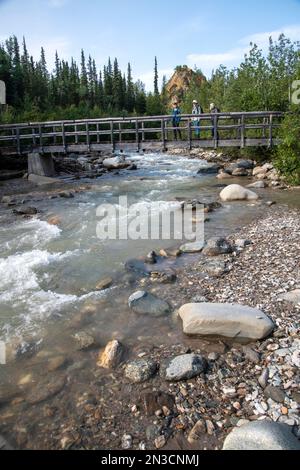 Wanderer überqueren die Hines Creek Bridge auf dem Triple Lakes Trail; Denali National Park and Preserve, Interior Alaska, Alaska, Vereinigte Staaten von Amerika Stockfoto