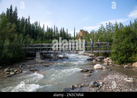 Wanderer überqueren die Hines Creek Bridge auf dem Triple Lakes Trail; Denali National Park and Preserve, Interior Alaska, Alaska, Vereinigte Staaten von Amerika Stockfoto