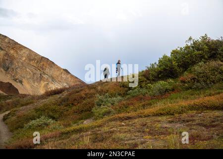Wanderer aus Polychromen überblicken einen Spaziergang entlang eines Berges mit herbstfarbener Vegetation Stockfoto