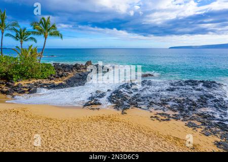 Geheimer Strand mit Palmen und türkisfarbener Brandung im goldenen Sand von Makena Cove; Maui, Hawaii, Vereinigte Staaten von Amerika Stockfoto