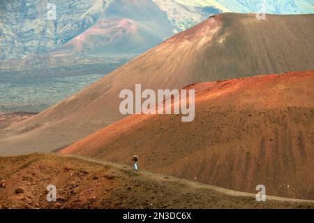 Blick von hinten auf eine Person, die entlang des Berges eines vulkanischen Anstiegs im Hauptkrater des Haleakala National Park spaziert Stockfoto