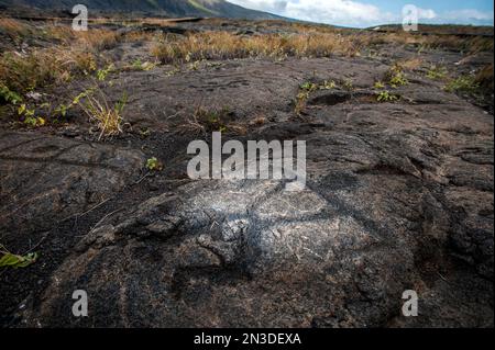 An der südlichen Flanke des Vulkans Kīlauea auf der großen Insel Hawaii liegt der Name des Ortes Puerivuloa, der eine riesige Gegend von Petroll... Stockfoto