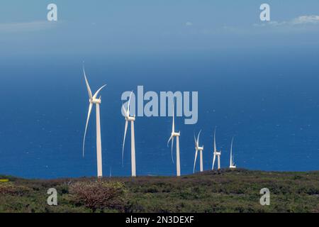 Reihe von Windturbinen auf der Big Island von Hawaii. Der Strom aus dem Wind ist in Hawaii stark gestiegen und liefert über 1/3 der gesamten Elektrizität auf dem i... Stockfoto