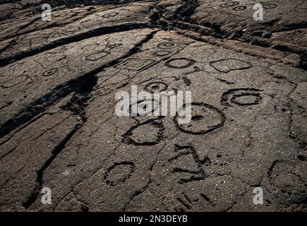 Felsschnitzereien im Puako Petroglyph Archäological District auf der Westseite der Kona-Küste von Hawaii Big Island. Der 233 Hektar große Puakō Petrogly... Stockfoto