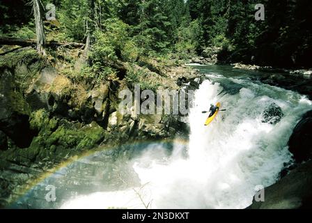 Frau, die einen großen Wasserfall am White Salmon River betreibt; Upper White Salmon River, Washington State, Vereinigte Staaten von Amerika Stockfoto