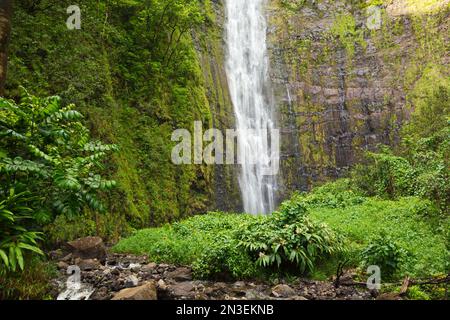 Blick auf die Waimoku Falls am Ende des Pipiwai Trail auf der Straße nach Hana; Kipahulu, Hana, Maui, Hawaii, Vereinigte Staaten von Amerika Stockfoto