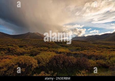 Eine vorbeiziehende Dusche schwebt über dem Mount Boyle entlang des Dempster Highway. Herbstfarben schmücken die Landschaft und schaffen eine Szene von schierer Schönheit Stockfoto