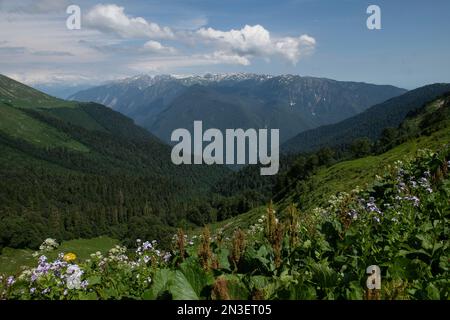 Atemberaubende Bergblicke und üppige Landschaft hoch in den Kaukasus Mountains nach einem dreistündigen Aufstieg zum Basislager der Abenteuertour ... Stockfoto