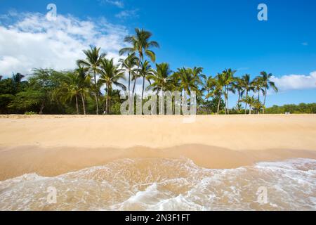 Blick vom Wasser auf die Sandküste und Palmen am Hulopo'e Beach in Manele Bay; Lanai, Hawaii, Vereinigte Staaten von Amerika Stockfoto