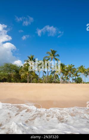 Blick vom Wasser auf die Sandküste und Palmen am Hulopo'e Beach in Manele Bay; Lanai, Hawaii, Vereinigte Staaten von Amerika Stockfoto