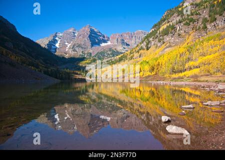 Kastanienbraune Glocken im Herbst, wobei die Aspen (Populus tremuloides) ihre Farbe in einem ruhigen See reflektieren Stockfoto