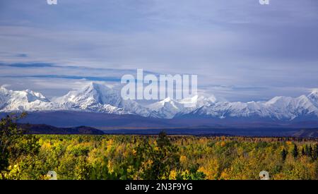 Wunderschöner Blick auf den Sonnenaufgang am frühen Morgen auf die schneebedeckte Alaska Range nahe Delta Junction im Herbst; Alaska, Vereinigte Staaten von Amerika Stockfoto