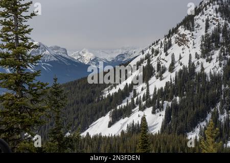 Blick auf die Rocky Mountains von einem Skigebiet im Banff National Park, Alberta, Kanada; Improvement District No. 9, Alberta, Kanada Stockfoto