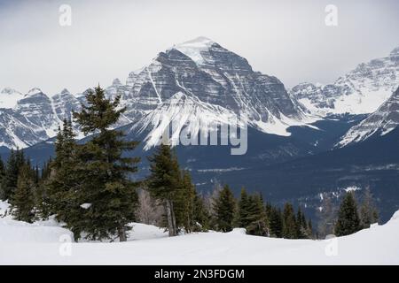 Blick auf die Rocky Mountains von einer Skipiste in einem Skigebiet im Banff National Park, Alberta, Kanada; Improvement District No. 9, Alberta, Kanada Stockfoto