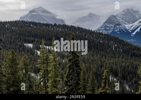 Blick auf die Rocky Mountains von einem Skigebiet im Banff National Park, Alberta, Kanada; Improvement District No. 9, Alberta, Kanada Stockfoto