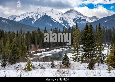 Wunderschöne Ausblicke entlang des Bow Valley Parkway im Banff National Park, der alternativen malerischen Route zwischen Banff und Lake Louise, Alberta, Kanada Stockfoto