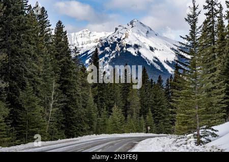 Wunderschöne Ausblicke entlang des Bow Valley Parkway im Banff National Park, der alternativen malerischen Route zwischen Banff und Lake Louise, Alberta, Kanada Stockfoto