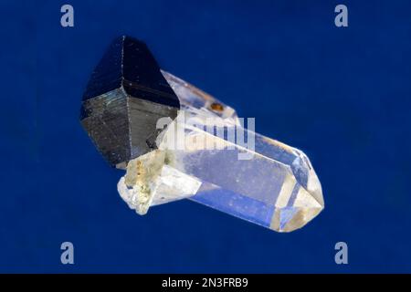 Verschlüsse von Anatase-Kristallen (eine von 5 Formen von Titatiumdioxid) an terminierten Quarz-Kristallen. Aus Pakistan. Blauer Hintergrund. Stockfoto