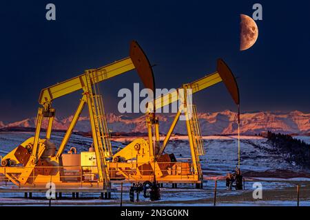 Farbenfroh und warm beleuchtete Kürbisse bei Sonnenaufgang in einem schneebedeckten Feld mit glühenden schneebedeckten Bergen und Halbmond in einem tiefen blauen Himmel, West o.... Stockfoto