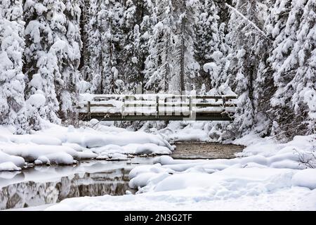 Schneebedeckte Brücke und Fluss mit etwas offenem Wasser nahe dem Emerald Lake im Winter im Rocky Mountains des Yoho National Park Stockfoto