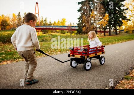 Ein kleiner Junge, der seine Schwester in einem Wagen in einem Stadtpark am Fluss in der Herbstsaison zieht Albert, Alberta, Kanada Stockfoto