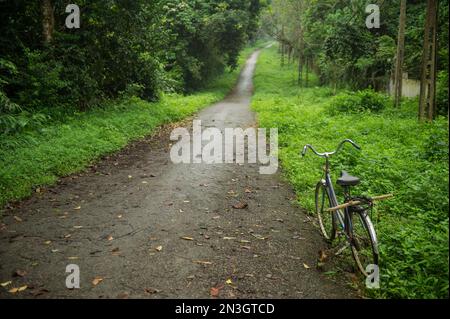 Ein Fahrrad befindet sich auf einer Straße durch einen vietnamesischen Dschungel im CUC Phuong Nationalpark; Ho Chi Minh, Ninh Binh, Vietnam Stockfoto