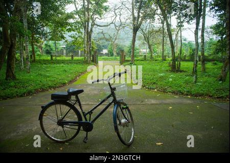 Ein Fahrrad steht auf einem moosbedeckten Bürgersteig in Vietnam im CUC Phuong Nationalpark; Vietnam Stockfoto