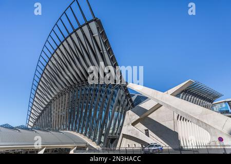 TGV-Bahnhof Gare de Lyon Saint-Exupéry Flughafen, entworfen vom Architekten Santiago Calatrava Stockfoto