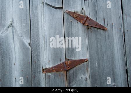 Nahaufnahme eines alten rostigen Scharniers an einer Holztür; Cortland, Nebraska, Vereinigte Staaten von Amerika Stockfoto