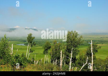 Blicken Sie durch Birkenstämme zu einem malerischen Tal und einem hohen Berg am Rand der Steppe mit Gipfeln, die von dichtem Nebel umhüllt sind. Chakassia, Sibirien, Stockfoto