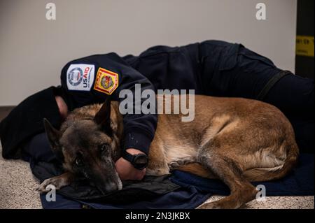 Dover, Vereinigte Staaten. 07. Februar 2023. Eine zivile Such- und Rettungsmannschaft aus Fairfax County, Virginia, ruht sich mit ihrem Suchhund aus, bevor sie an Bord eines Frachtflugzeugs der US Air Force C-17 Globemaster III am Luftwaffenstützpunkt Dover, 7. Februar 2023 in Dover, Delaware, geht. Die USA Die Organisation für internationale Entwicklung mobilisiert humanitäre Nothilfe, um auf die massive Zerstörung infolge eines Erdbebens in der Türkei im Jahr 7,8 zu reagieren. Kredit: SSGT. Marco Gomez/US Air Force Photo/Alamy Live News Stockfoto