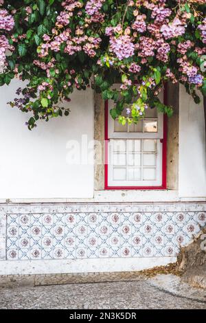 Ein vertikales Bild eines Hauses, geschmückt mit lackierten, verzinnten Keramikfliesen an der unteren Wand, ein vertikales Fenster mit einem roten Fensterrahmen und vorne Stockfoto