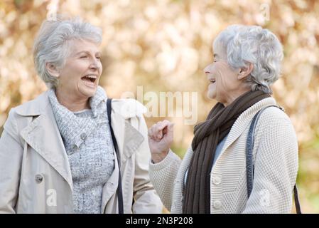 Sie sind immer noch beste Freunde. Zwei Seniorinnen, die sich draußen freundlich unterhalten, mit Herbstblättern im Hintergrund. Stockfoto