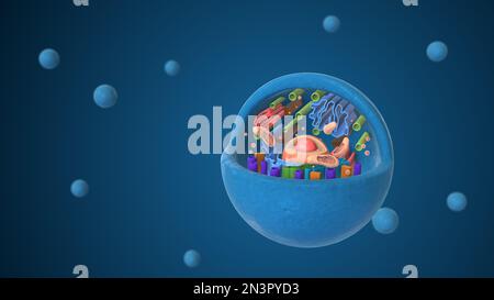 Biologische Tierzelle mit Organellen 3D-Darstellung Stockfoto