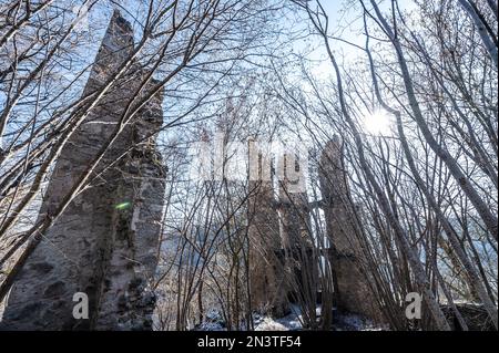 Rottweil, Deutschland. 07. Februar 2023. Die Ruinen der Burg Neckarburg bei Rottweil im Morgenlicht. Kredit: Silas Stein/dpa/Alamy Live News Stockfoto
