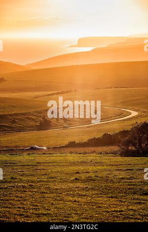 Gewundene Landstraße mit Blick auf die Küste, Sonnenstrahlen im Abendnebel, Eastbourne, South Downs, East Sussex, England, Vereinigtes Königreich Stockfoto