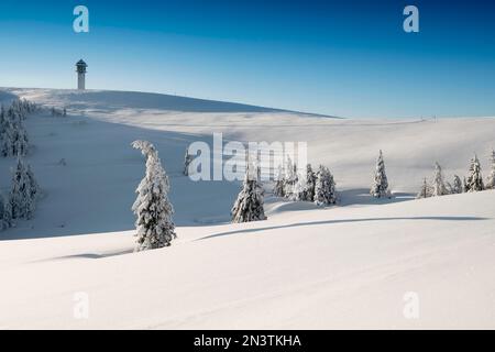 Schneebedeckte Fichten (Picea) und Feldbergturm im Winter, Feldberg, Schwarzwald, Baden-Württemberg, Deutschland Stockfoto