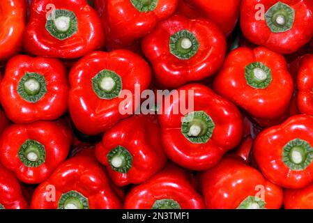 Paprika, Obststand, Markthalle, Mercat de la Boqueria, La Rambla, Barcelona, Katalonien, Spanien Stockfoto